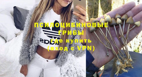 гидра Балахна
