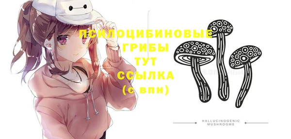 гидра Балахна