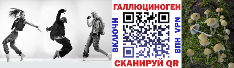 Псилоцибиновые грибы прущие грибы  Колпашево 
