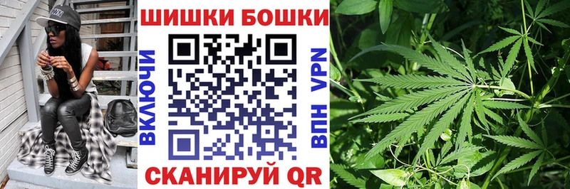 Канабис сатива  Колпашево 